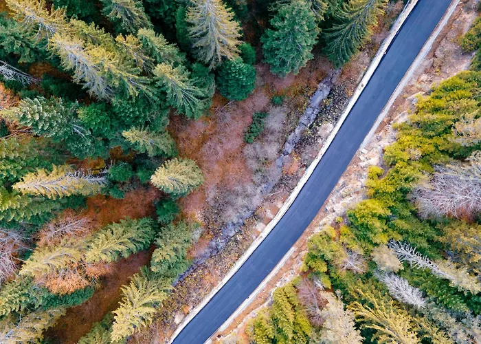 грийн хисар Хотел